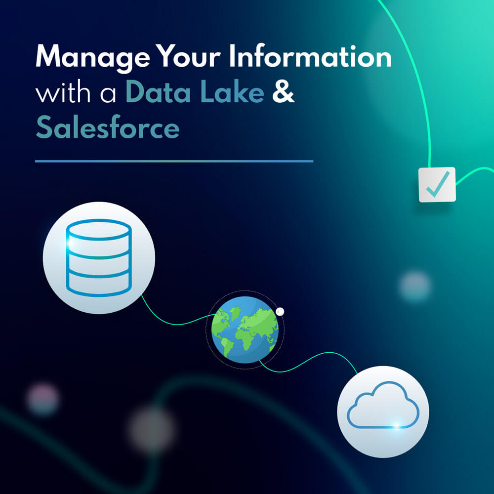Manage your information with a Data Lake & Salesforce